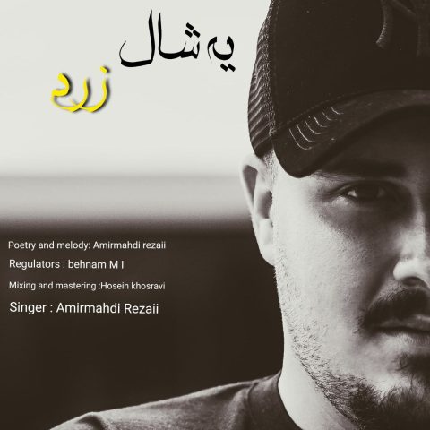 دانلود آهنگ امیرمهدی رضایی یه شال زرد
